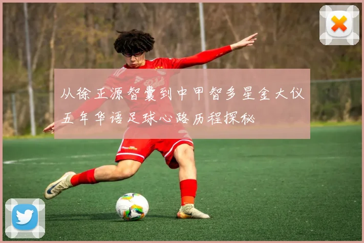 从徐正源智囊到中甲智多星金大仪五年华语足球心路历程探秘