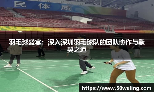 羽毛球盛宴：深入深圳羽毛球队的团队协作与默契之道